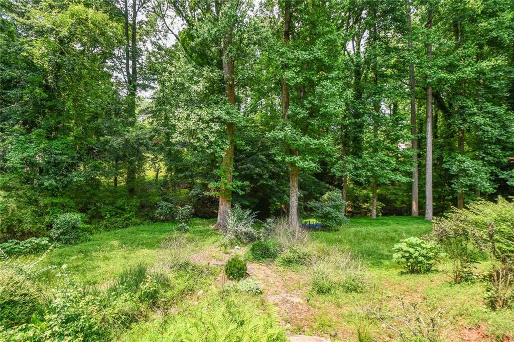 1173 St Charles Place Gainesville, GA 30501 - Photo 64 of 81