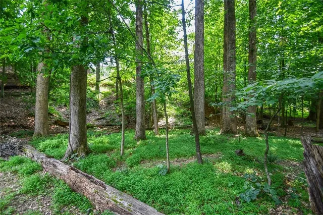 $649,000 | 1173 St Charles Place, Gainesville, GA 30501