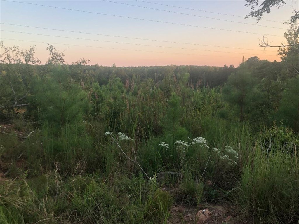 56.57-acres Lake Secession Road Abbeville, SC 29620 - Photo 4 of 11