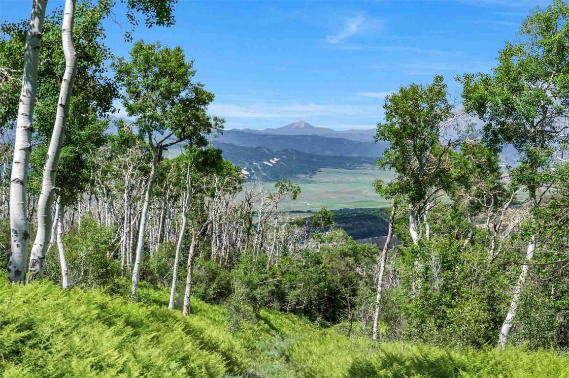 26760 Rimrock Trail Oak Creek, CO 80467 - Photo 18 of 50