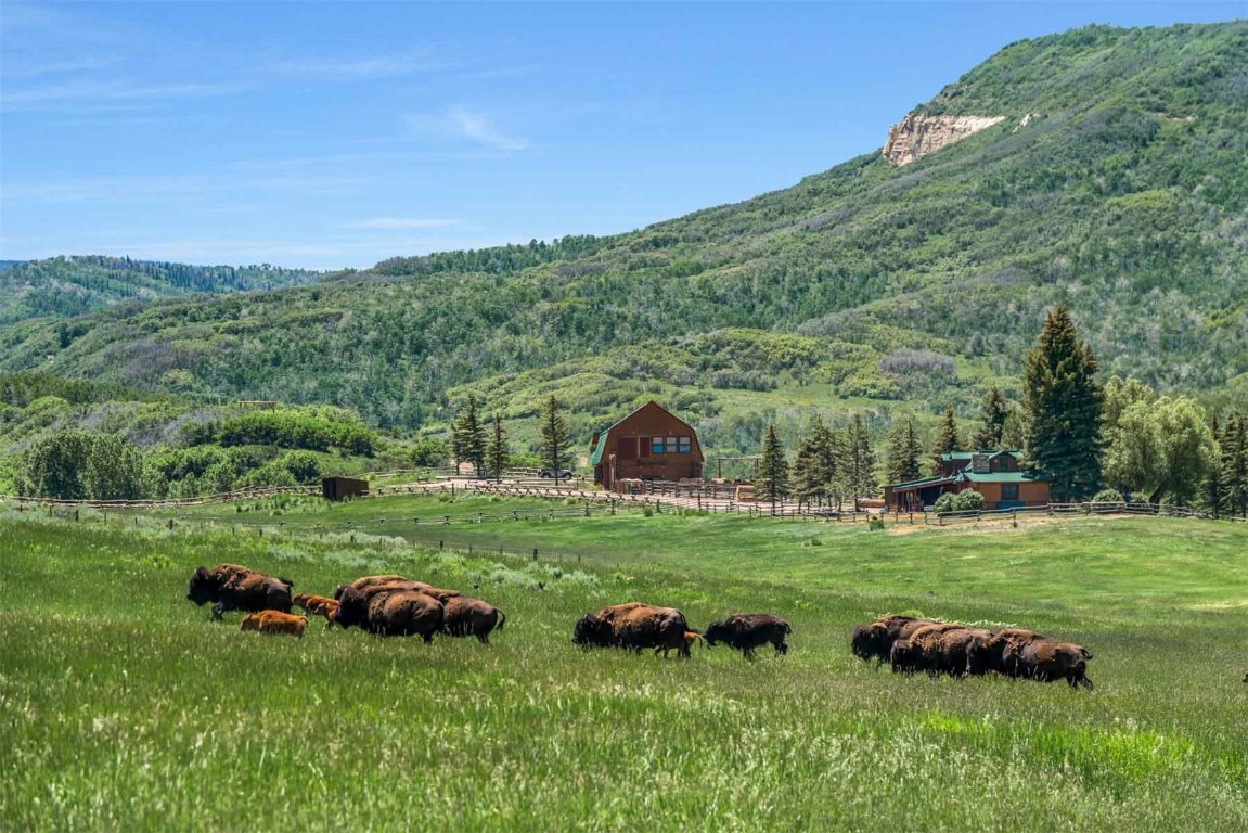 26760 Rimrock Trail Oak Creek, CO 80467 - Photo 2 of 50