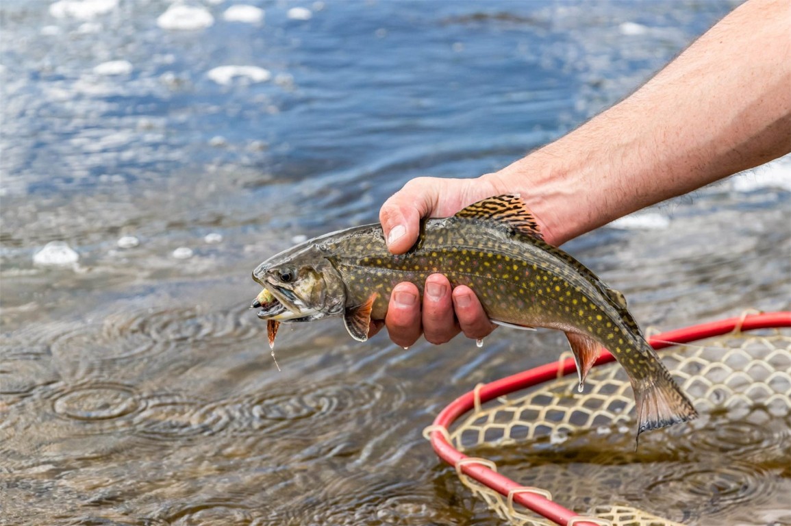 26760 Rimrock Trail Oak Creek, CO 80467 - Photo 24 of 50