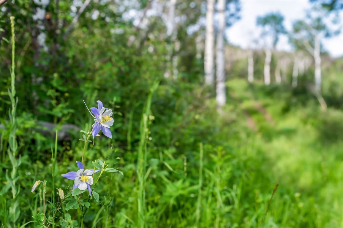 26760 Rimrock Trail Oak Creek, CO 80467 - Photo 28 of 50