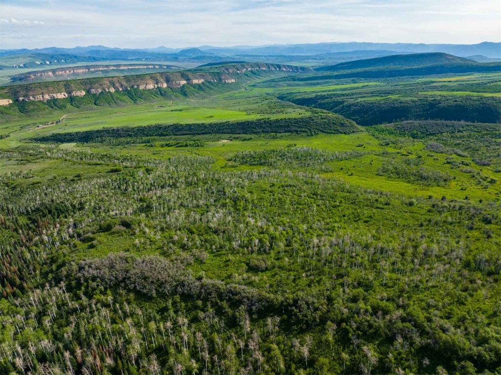 26760 Rimrock Trail Oak Creek, CO 80467 - Photo 29 of 50