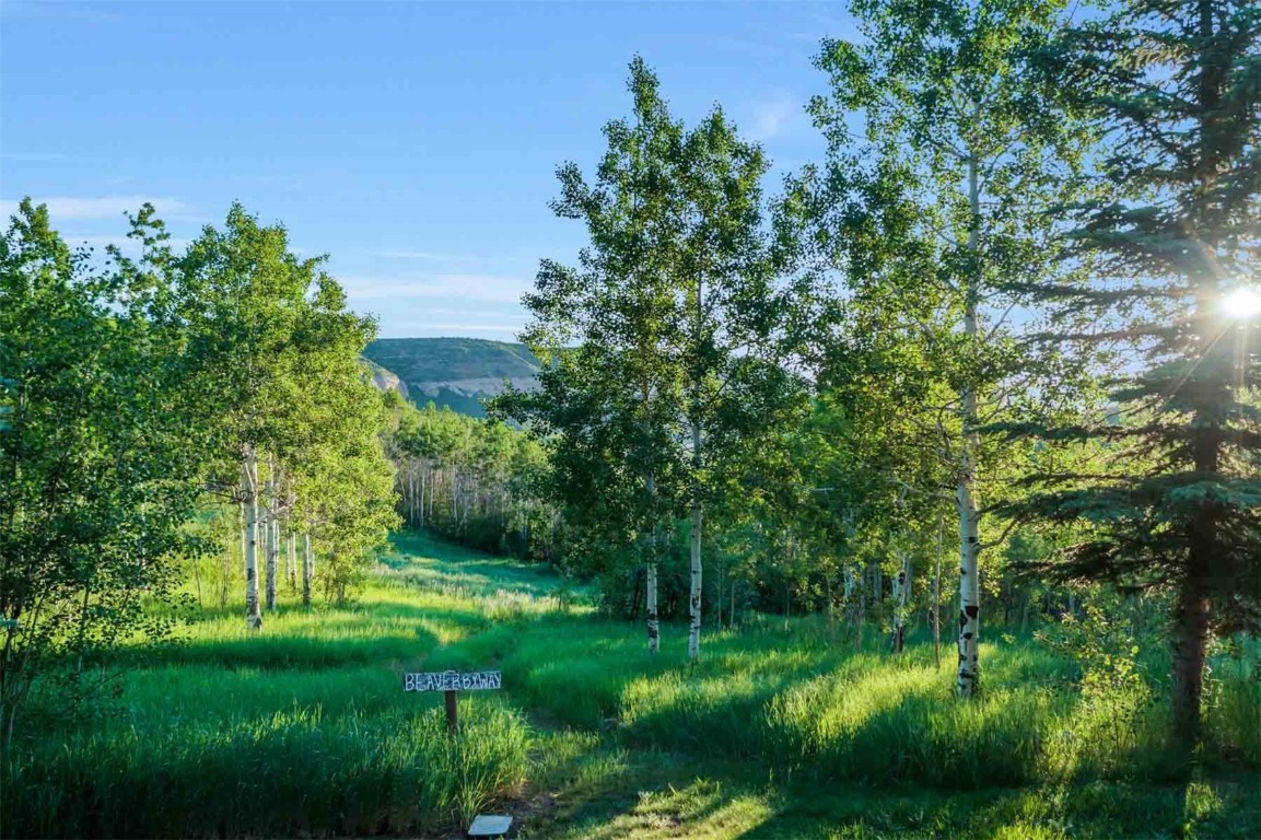 26760 Rimrock Trail Oak Creek, CO 80467 - Photo 31 of 50