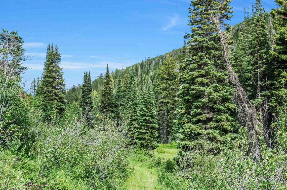 26760 Rimrock Trail Oak Creek, CO 80467 - Photo 32 of 50