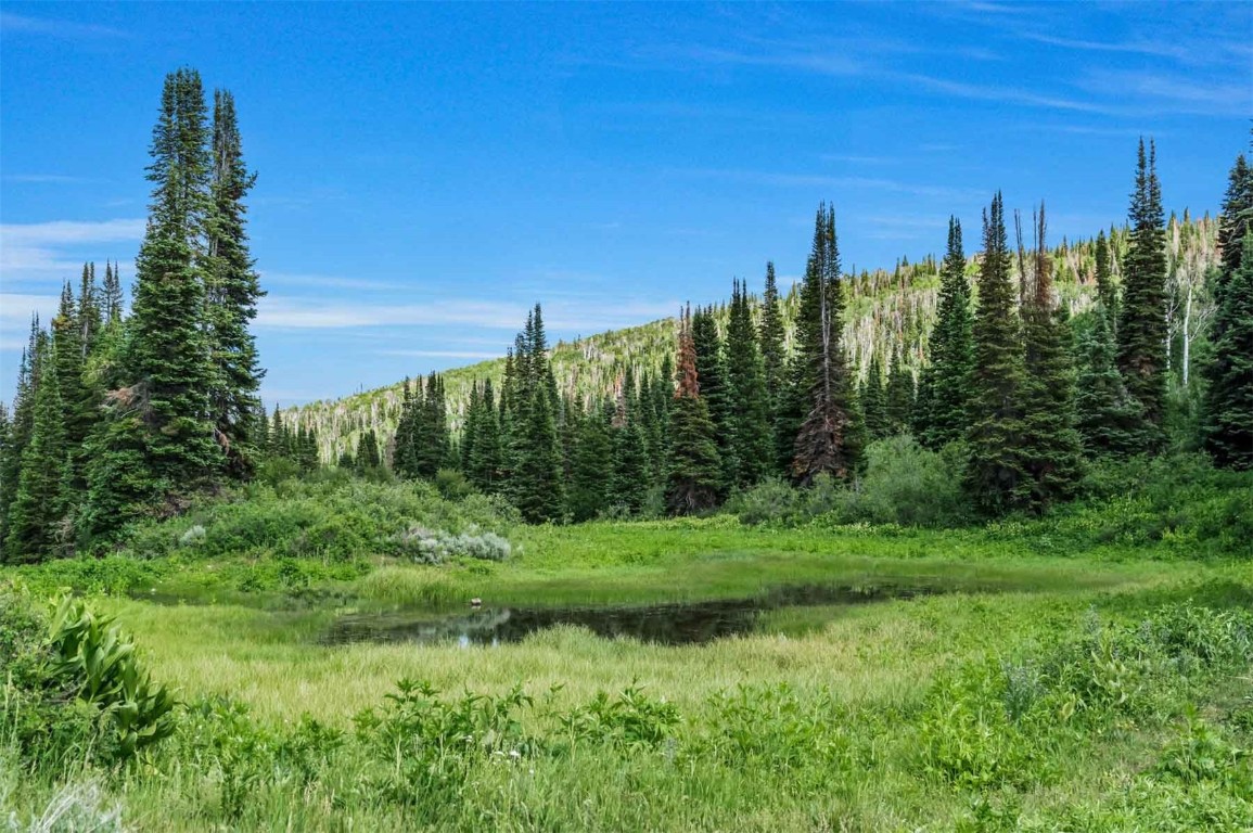 26760 Rimrock Trail Oak Creek, CO 80467 - Photo 33 of 50