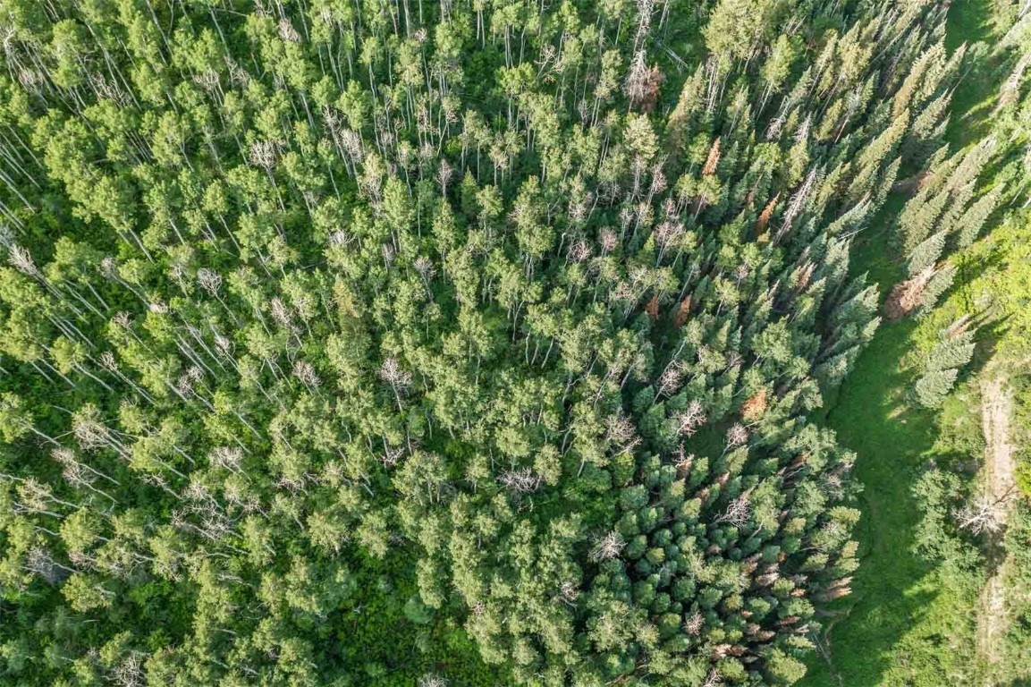 26760 Rimrock Trail Oak Creek, CO 80467 - Photo 34 of 50