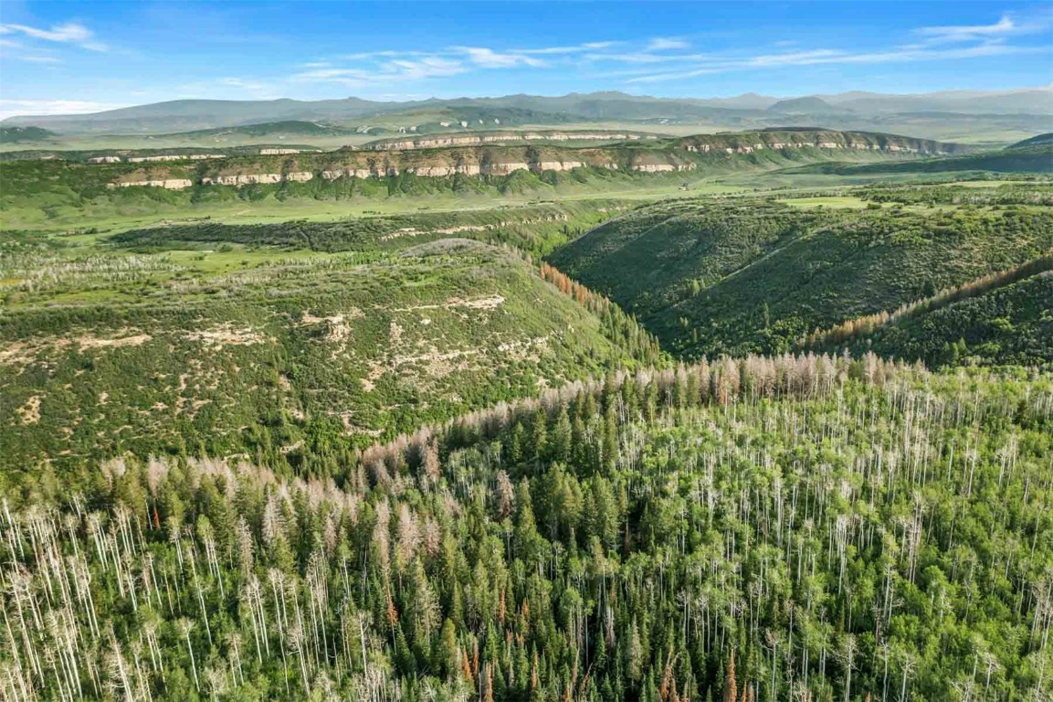 26760 Rimrock Trail Oak Creek, CO 80467 - Photo 35 of 50