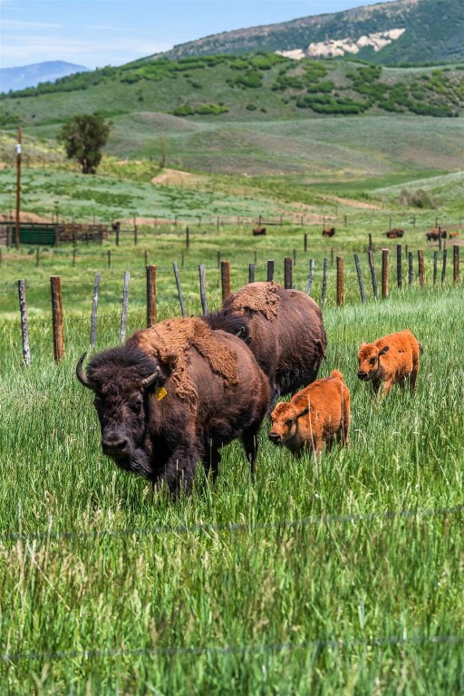 26760 Rimrock Trail Oak Creek, CO 80467 - Photo 39 of 50