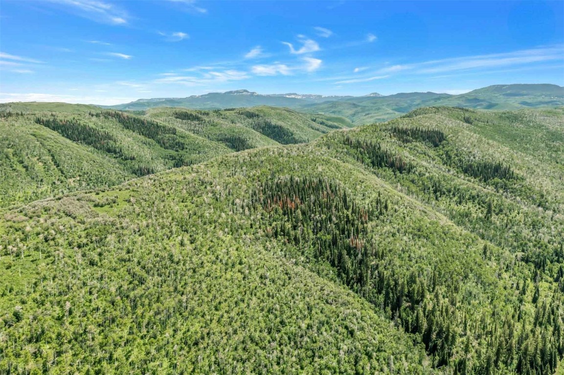 26760 Rimrock Trail Oak Creek, CO 80467 - Photo 4 of 50