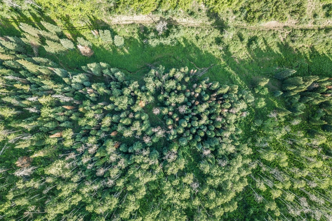 26760 Rimrock Trail Oak Creek, CO 80467 - Photo 46 of 50