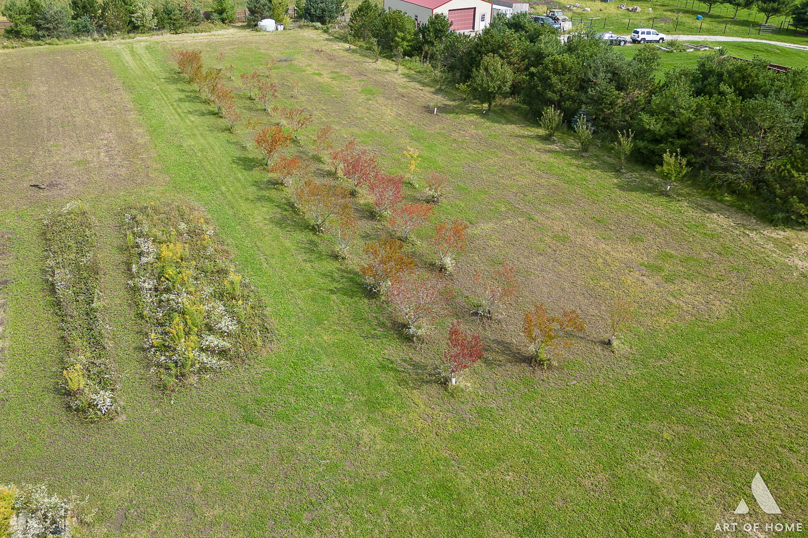 11702 West Pauling Road Manhattan, IL 60442 - Photo 14 of 18 a view of a big yard with lots of green space and mountain view in back