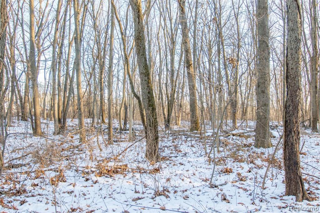 0 Easterling Road South Lyon, MI 48178 - Photo 6 of 7