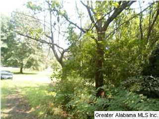 2004 Butler Road Alabaster, AL 35007 - Photo 1 of 1