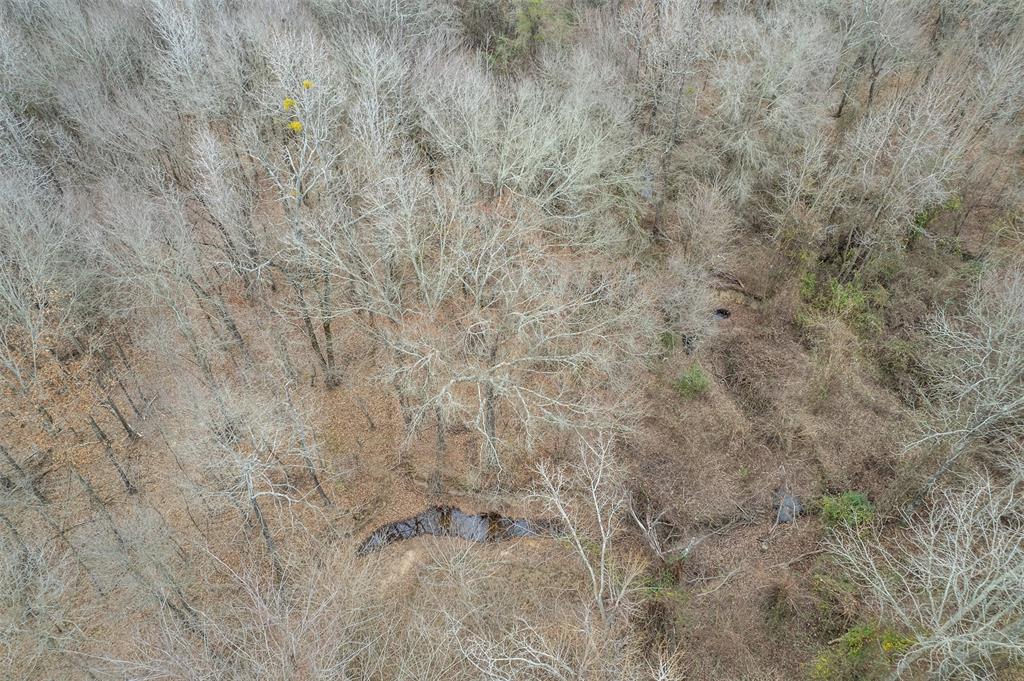 139 Northwest County Road, Unit 1061 Talco, TX 75487 - Photo 12 of 39