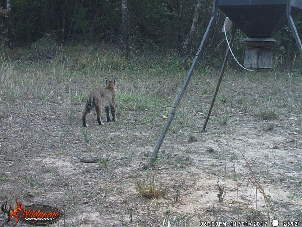 139 Northwest County Road, Unit 1061 Talco, TX 75487 - Photo 2 of 39