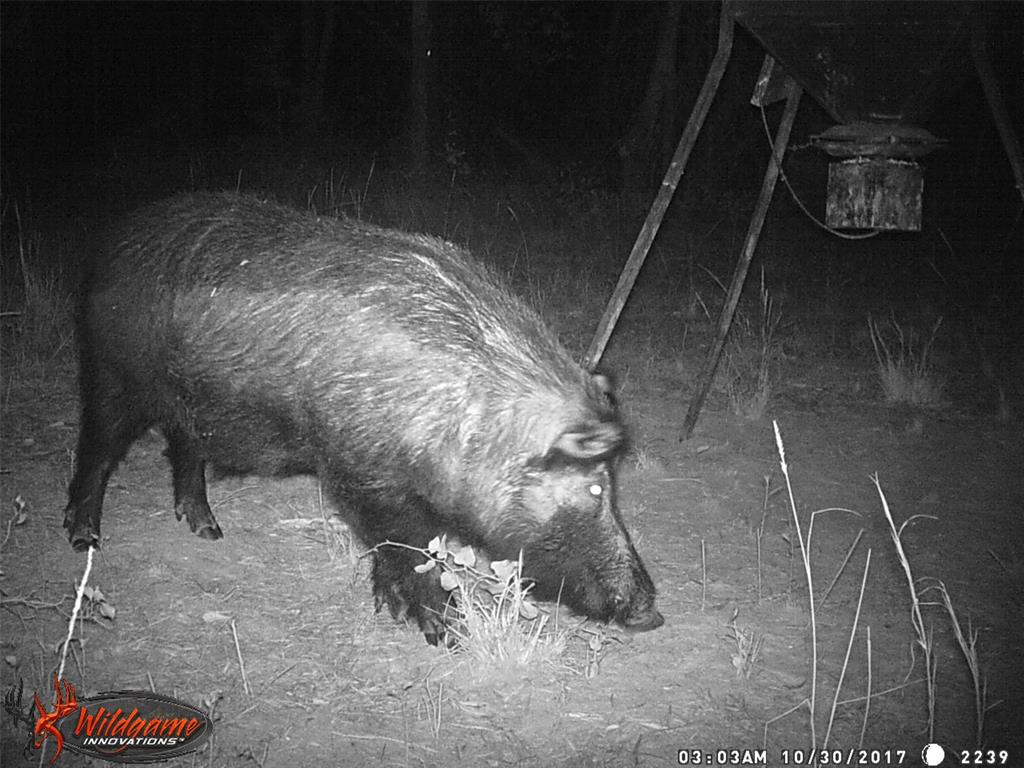 139 Northwest County Road, Unit 1061 Talco, TX 75487 - Photo 3 of 39