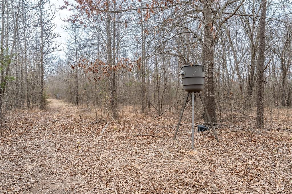 139 Northwest County Road, Unit 1061 Talco, TX 75487 - Photo 38 of 39