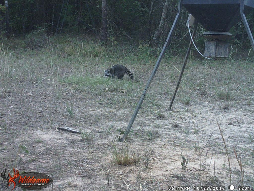 139 Northwest County Road, Unit 1061 Talco, TX 75487 - Photo 4 of 39