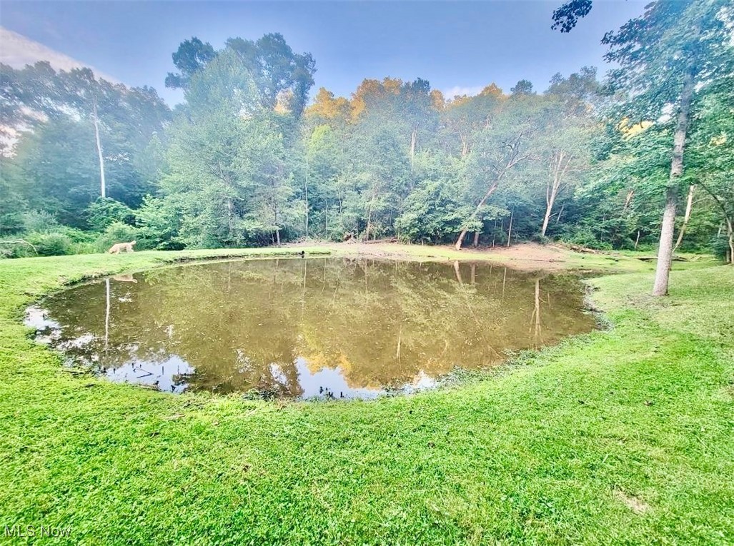 3367 Loomis Ridge Road Parkersburg, WV 26104 - Photo 43 of 43 Pond on property