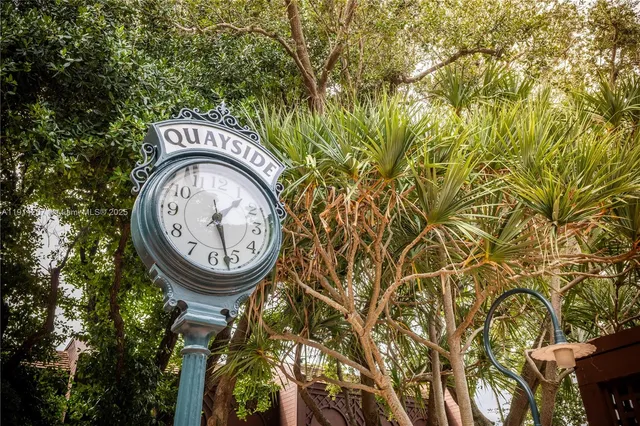 a view of a small garden with a tree
