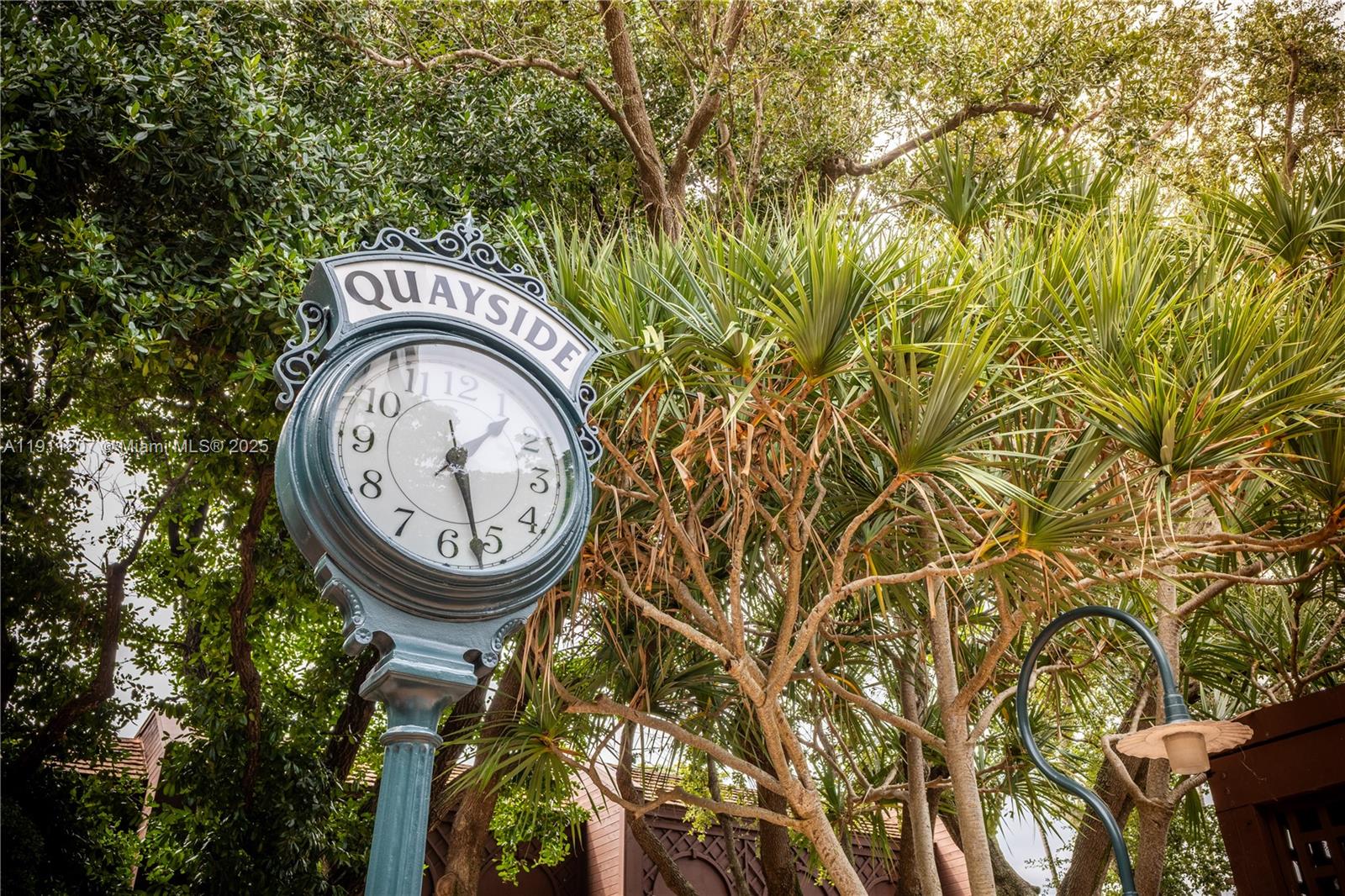 1000 Quayside Terrace, Unit 506 Miami, FL 33138 - Photo 39 of 42 a view of a small garden with a tree