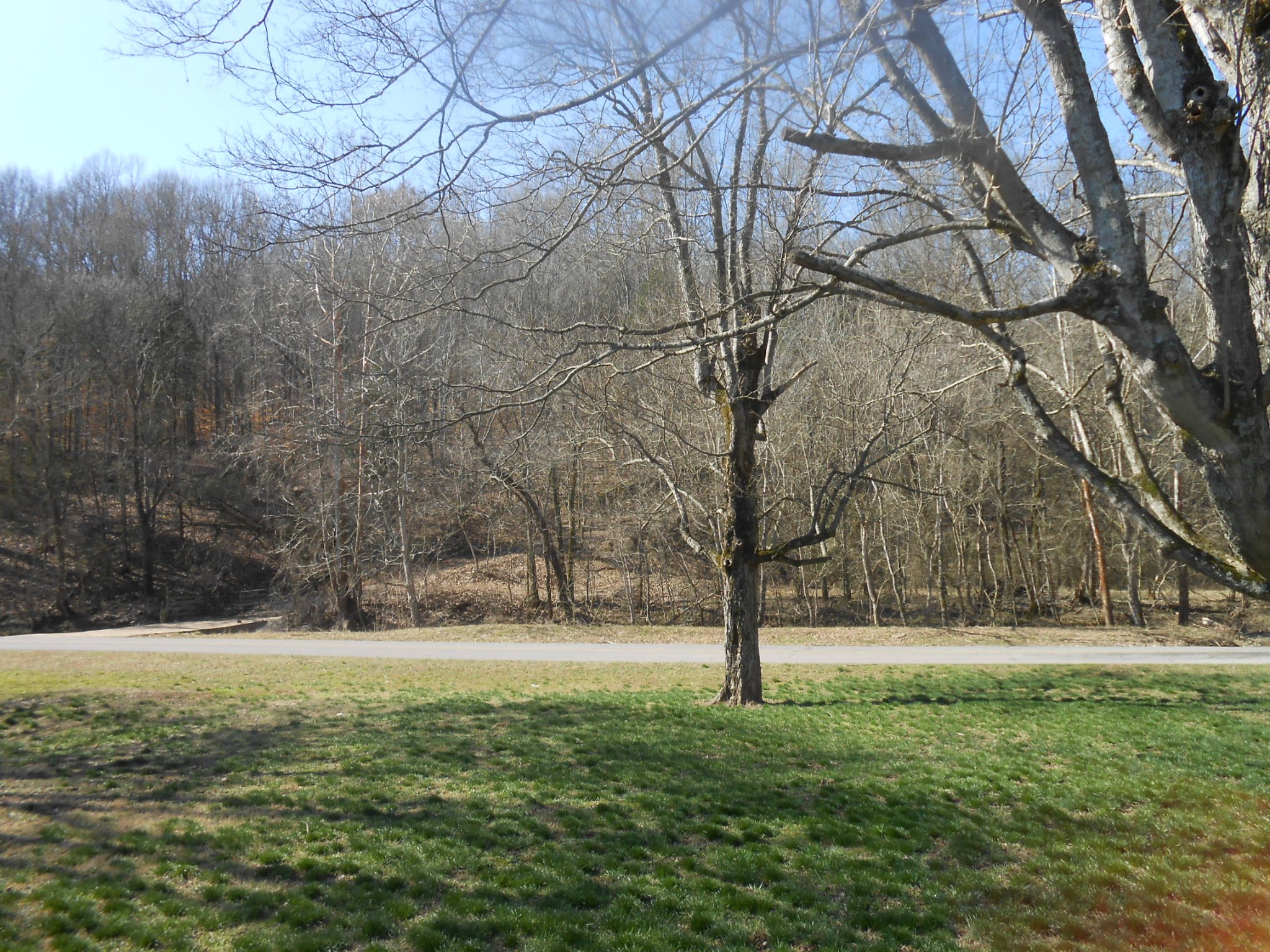 405 Wolf Hill Road Bethpage, TN 37022 - Photo 18 of 18 Gallery Image 18