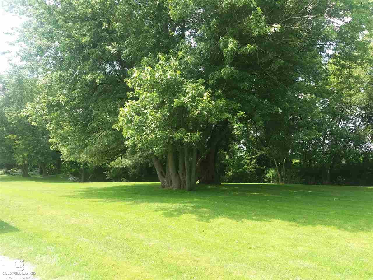 9386 Lambs Road Goodells, MI 48027 - Photo 49 of 61 31325762-48.JPG