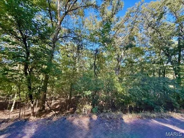 $6,000 | 2017 Heather Drive, Lake Sherwood, MO 63357