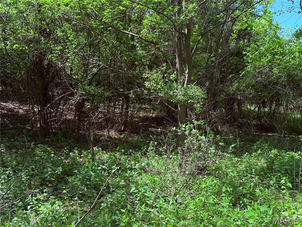 17058 Manchester Road Wildwood, MO 63040 - Photo 11 of 21
