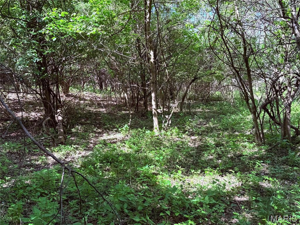 17058 Manchester Road Wildwood, MO 63040 - Photo 8 of 21