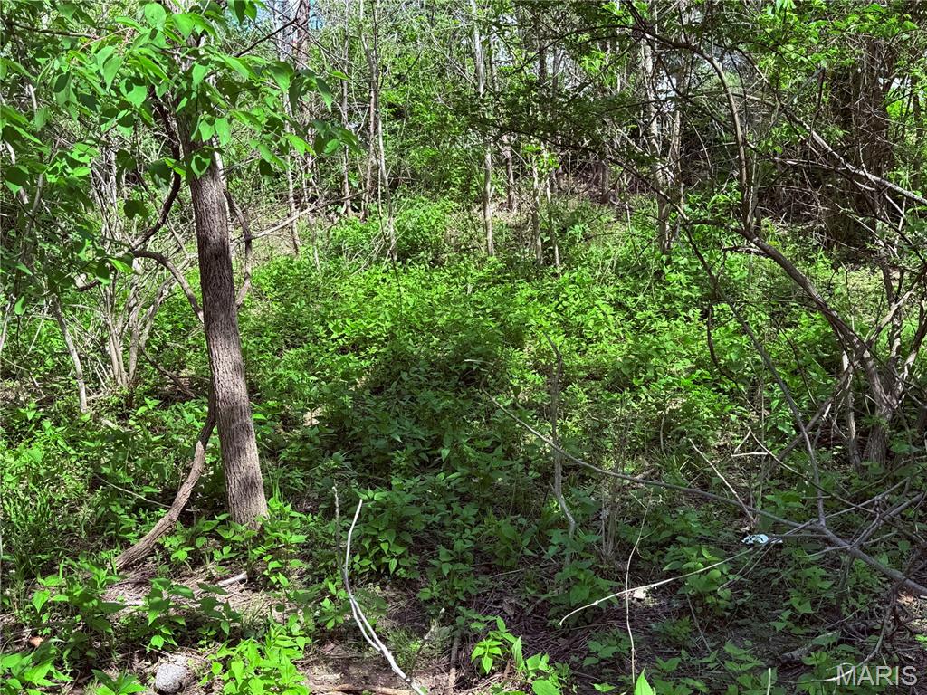 17058 Manchester Road Wildwood, MO 63040 - Photo 10 of 21