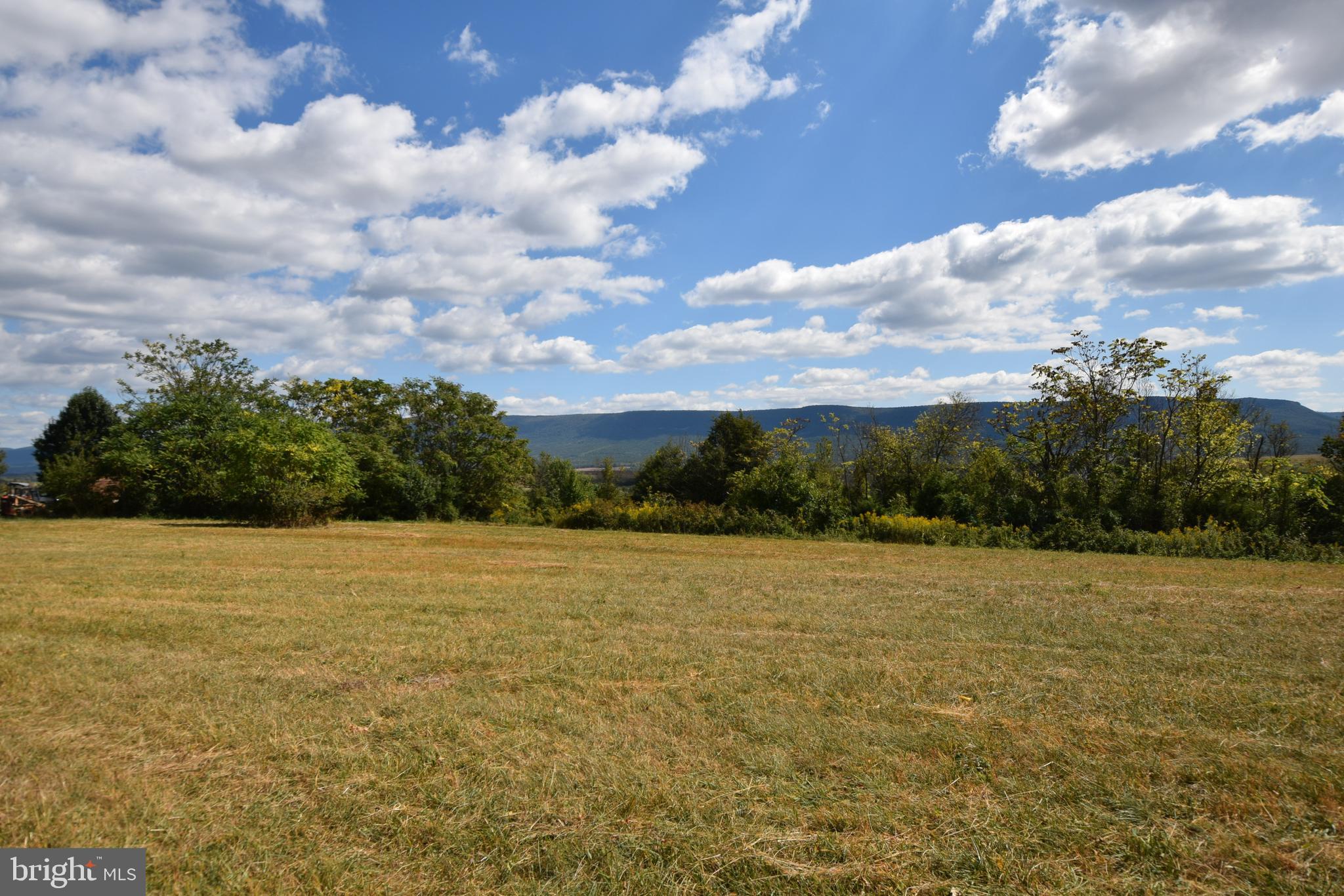 0 South Middle Rd Mount Mount Jackson, VA 22842 - Photo 1 of 8