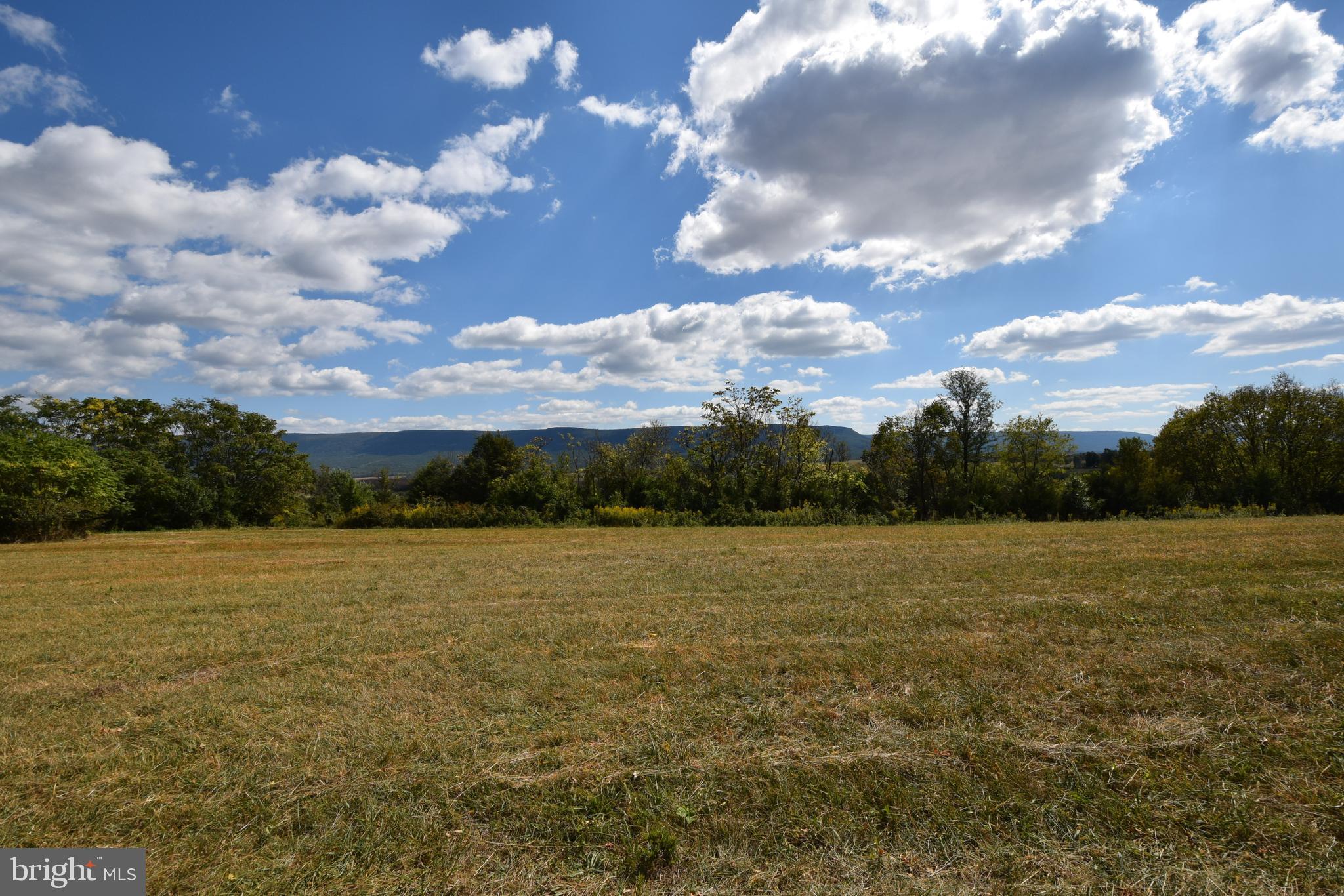 0 South Middle Rd Mount Mount Jackson, VA 22842 - Photo 2 of 8
