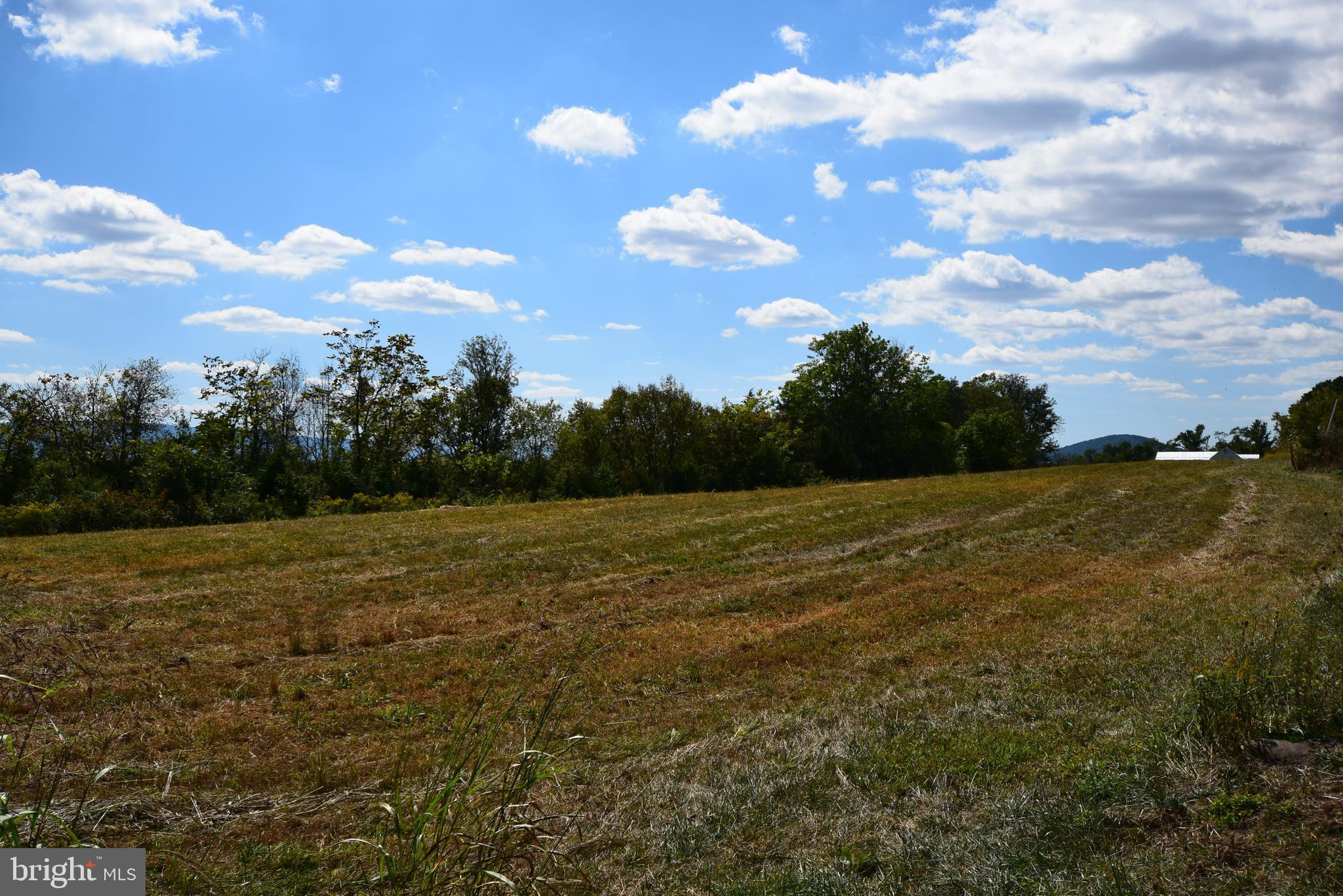 0 South Middle Rd Mount Mount Jackson, VA 22842 - Photo 4 of 8