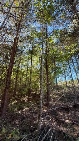 $49,069 | 0 Owl Hollow Road, Unit LOT 10, Palmer, TN 37365