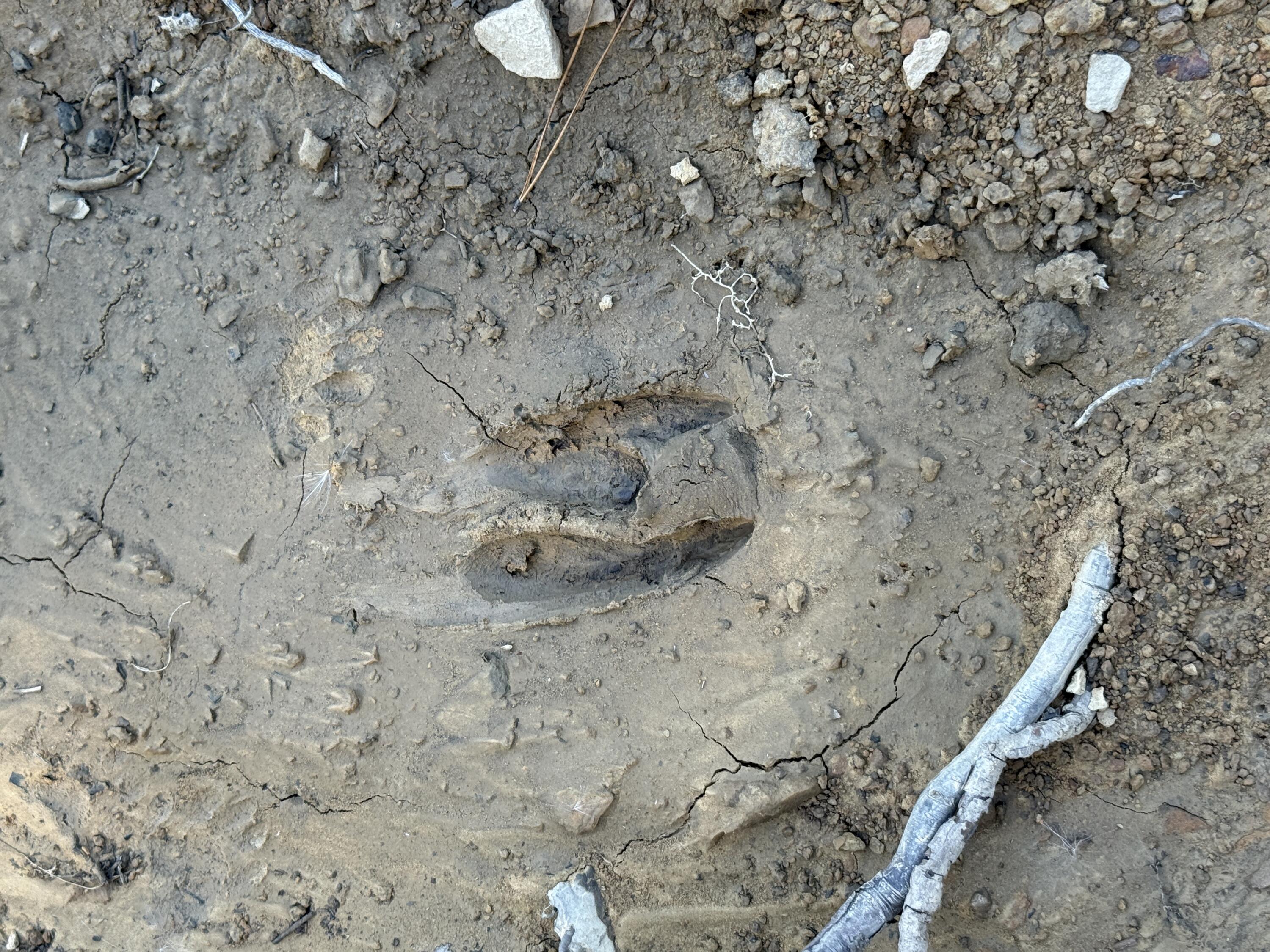 0 Owl Hollow Road, Unit LOT 10 Palmer, TN 37365 - Photo 11 of 13 IMG_2491