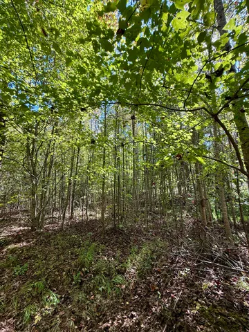 $49,069 | 0 Owl Hollow Road, Unit LOT 10, Palmer, TN 37365