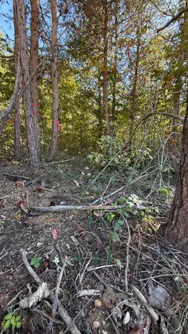 $49,069 | 0 Owl Hollow Road, Unit LOT 10, Palmer, TN 37365