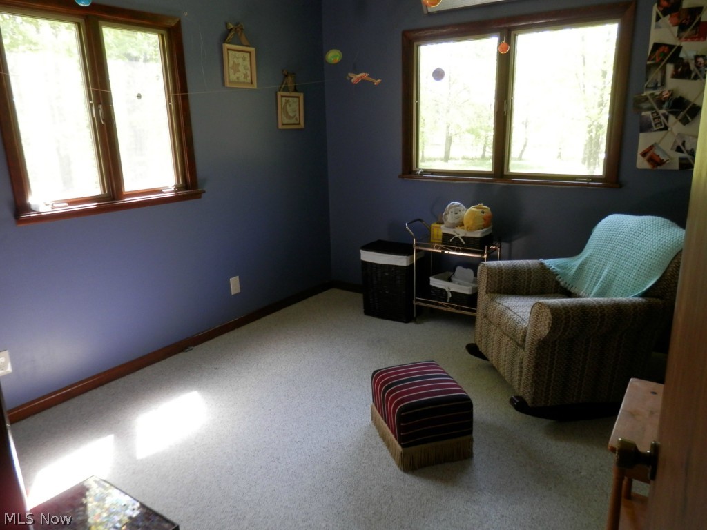 2359 Allen Road Austinburg, OH 44010 - Photo 10 of 21 Gallery Image 10