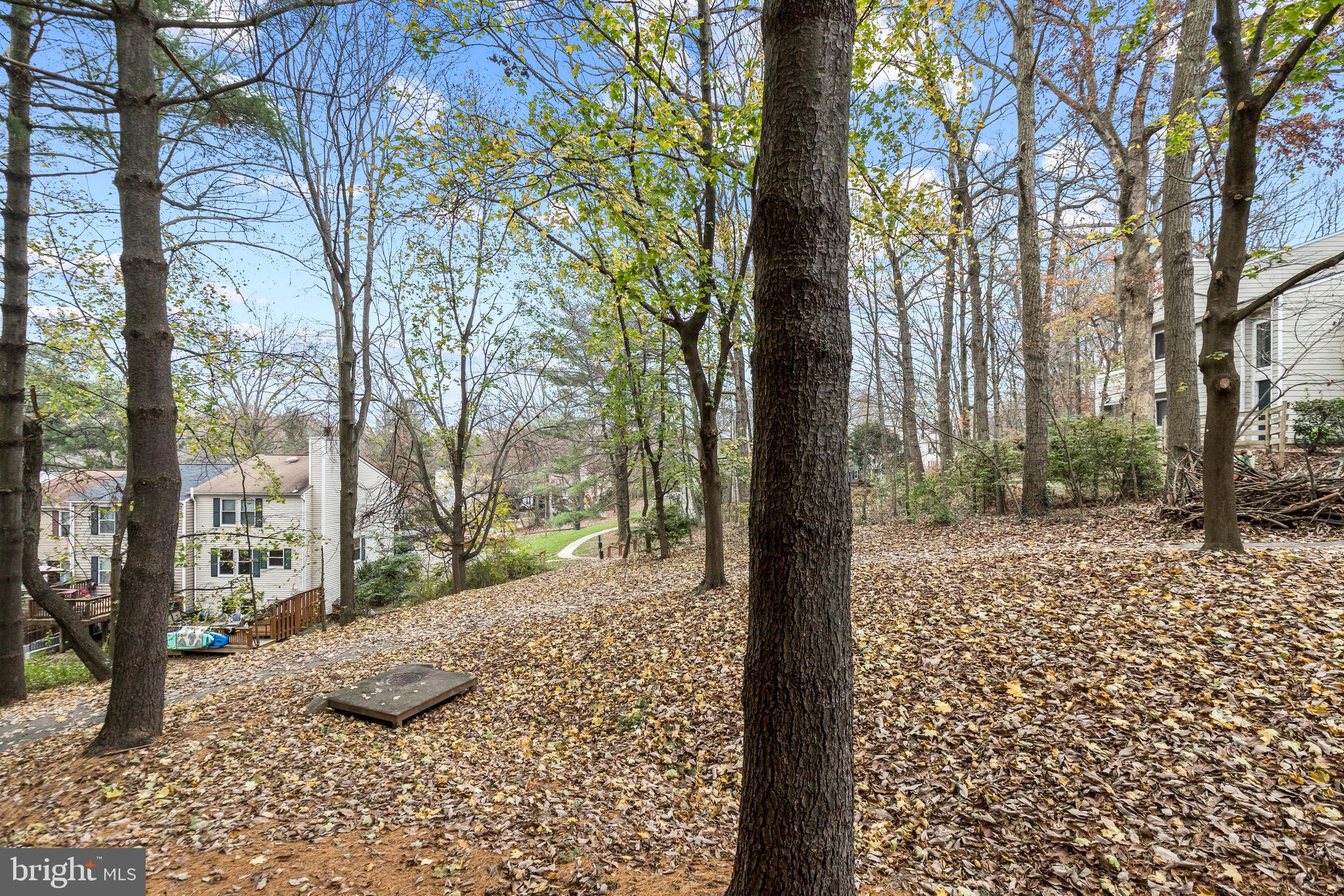 1951 Sagewood Lane, Unit 18 Reston, VA 20191 - Photo 20 of 34