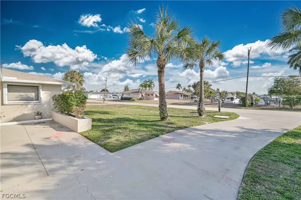 a view of a yard with plants and palm trees