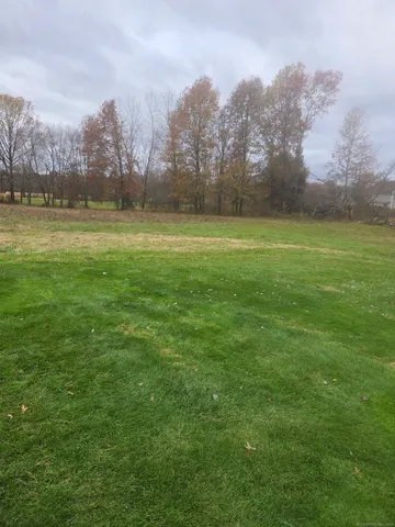 a view of outdoor space with green field and trees