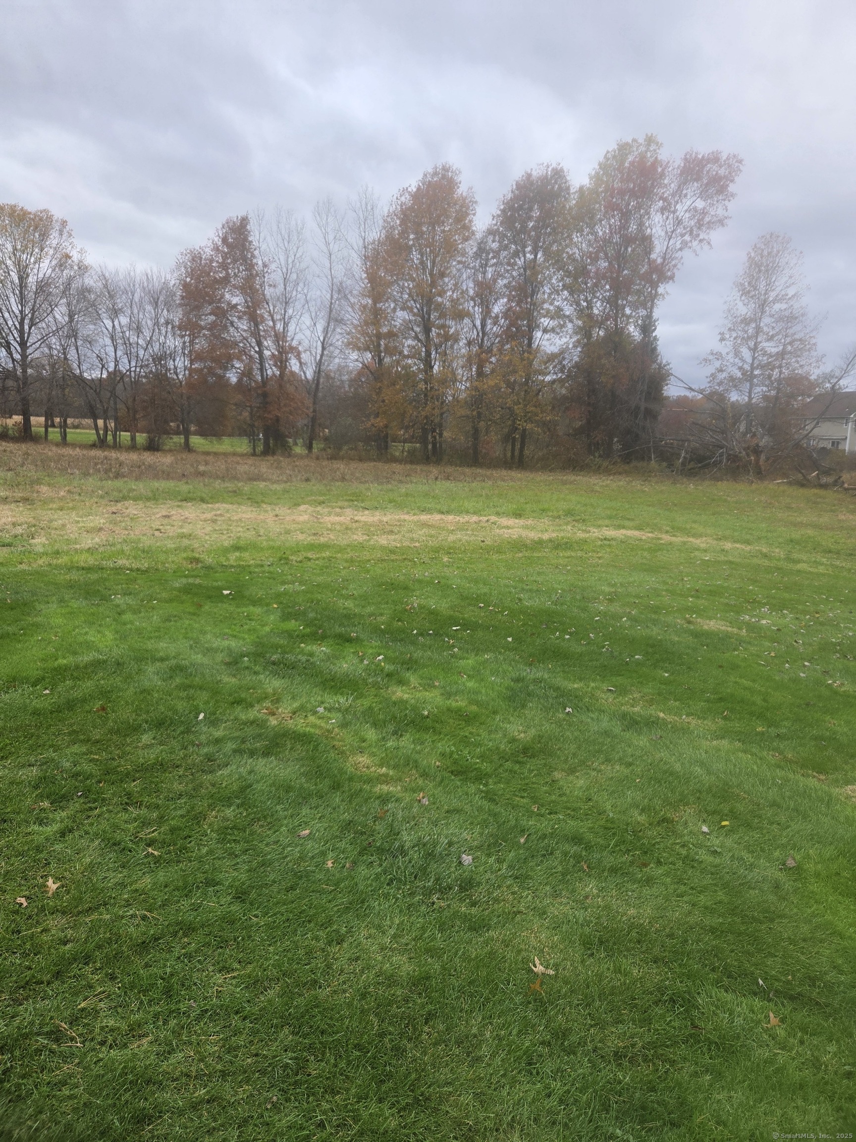 216 Wells Road East Windsor, CT 06088 - Photo 9 of 12 a view of outdoor space with green field and trees