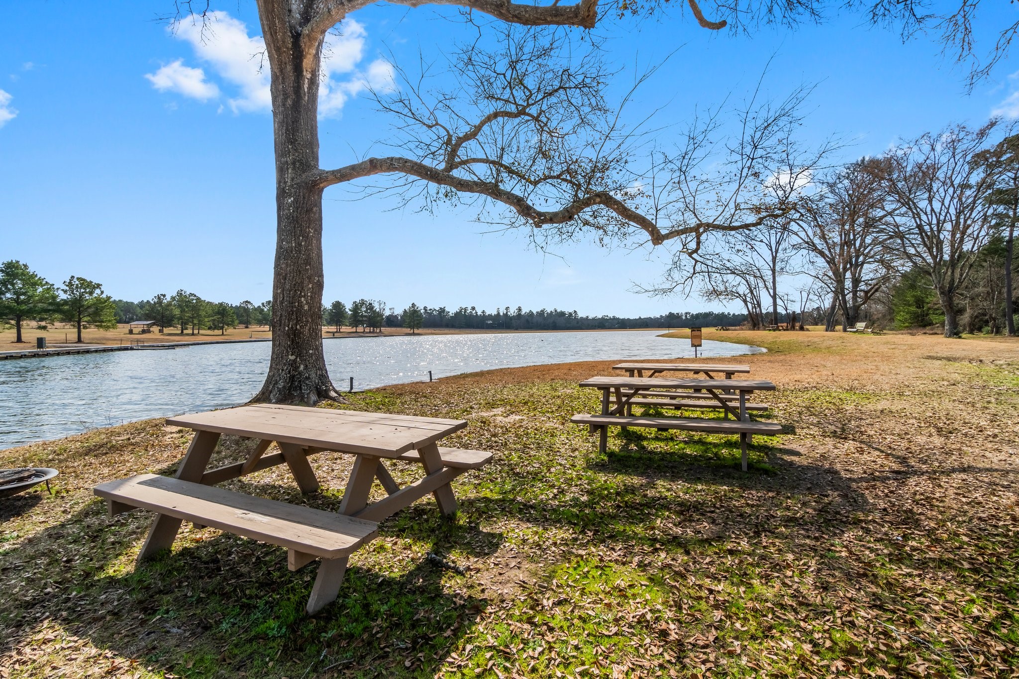 15491 Red Hawk Road Willis, TX 77378 - Photo 16 of 20 a view of a lake with a table under an umbrella
