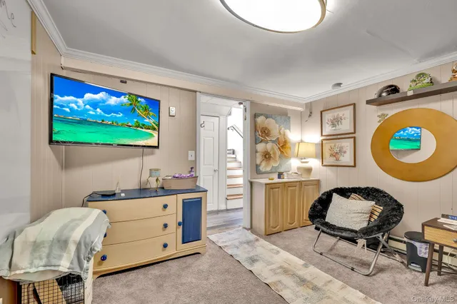 a living room with patio furniture and a potted plant