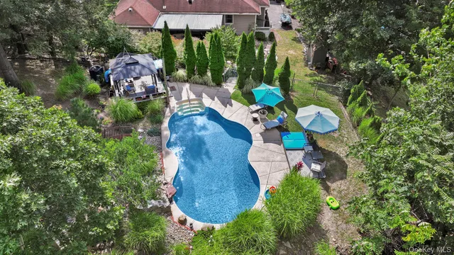 a view of backyard with outdoor seating and plants
