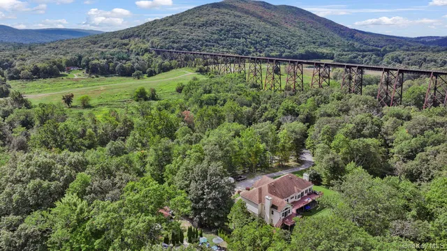 an aerial view of green landscape with trees houses and mountain view
