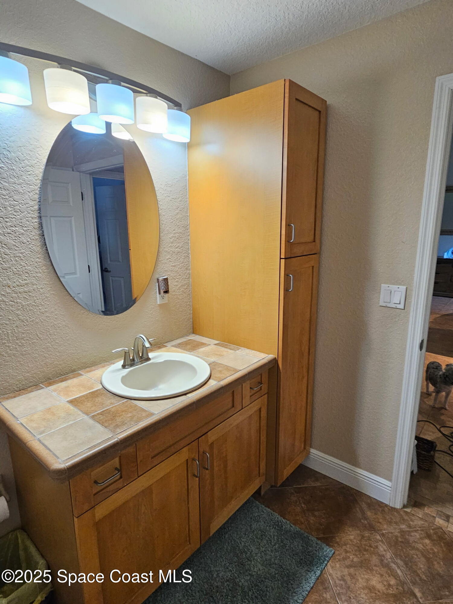 3094 Green Turtle Circle Mims, FL 32754 - Photo 44 of 63 a bathroom with a sink vanity and a mirror